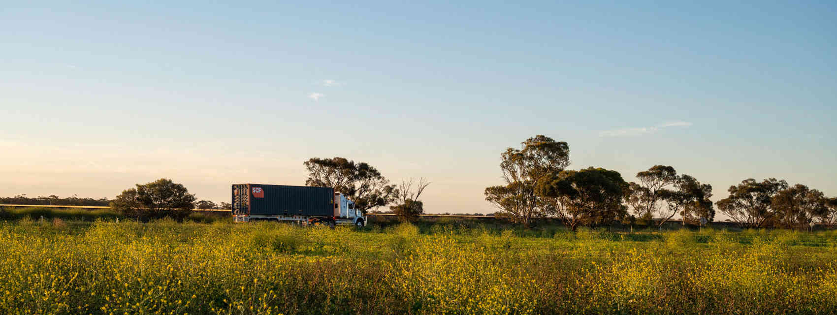 SCF 40Ft Pallet Wide Truck Full Width