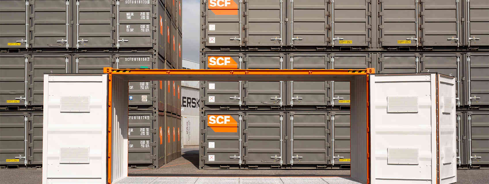 SCF DG DSD Open Feature